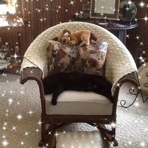 Meet your Posher, Cindy